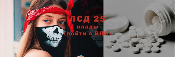 эйфоретик Богданович