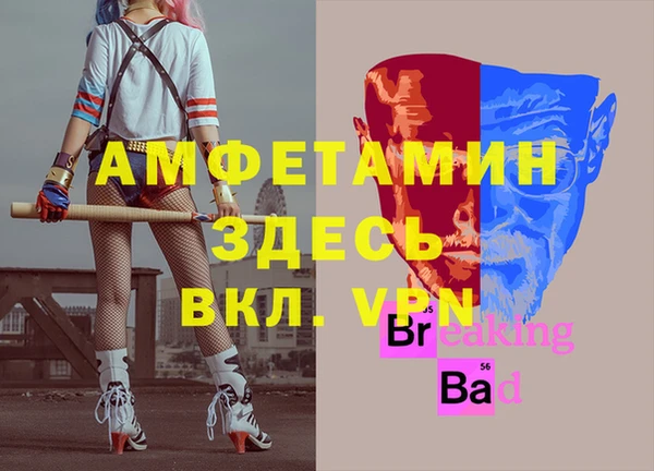 эйфоретик Богданович
