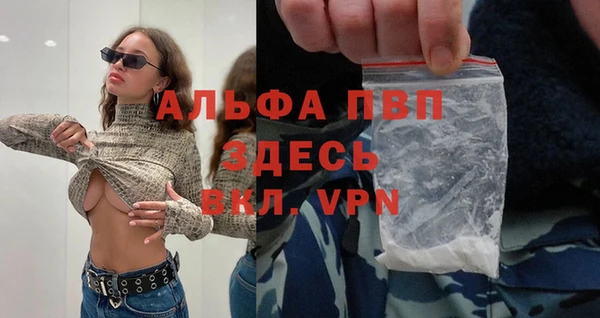 эйфоретик Богданович