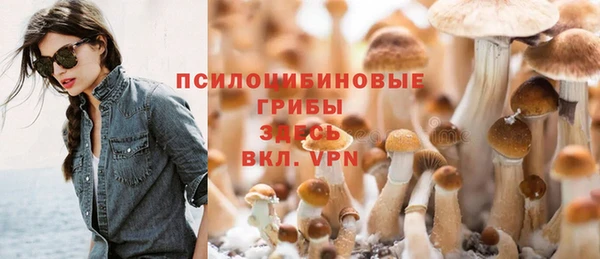 прущий лед Богородск
