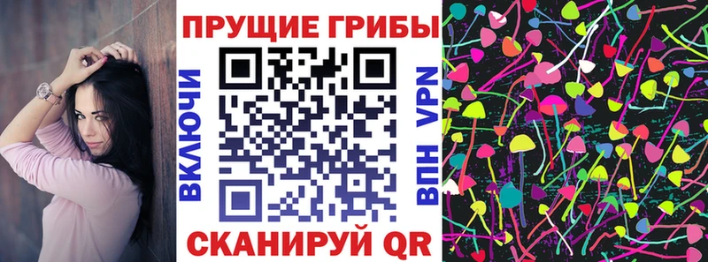 Псилоцибиновые грибы Cubensis  Кириши 